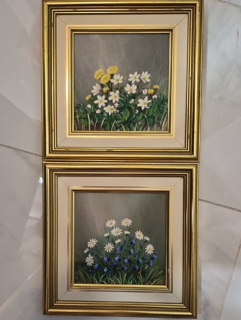2 Vintage Botanical Floral Oil Paintings Finnish Artist Aino Vastamaki * Signed